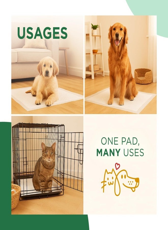 Basil Dogs Training Pads | Ultra-Absorbent & Leakproof Pet Pee Pads | Odor Control, Non-Slip Stick-On Tape | Soft & Comfortable for Indoor & Outdoor Puppy Training | 45 x 60cm | 50 pcs - Image 5